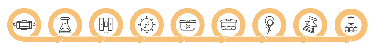 workflow schematic with iconography showing the steps of developing a cell therapy from sample preparation to fill & finish