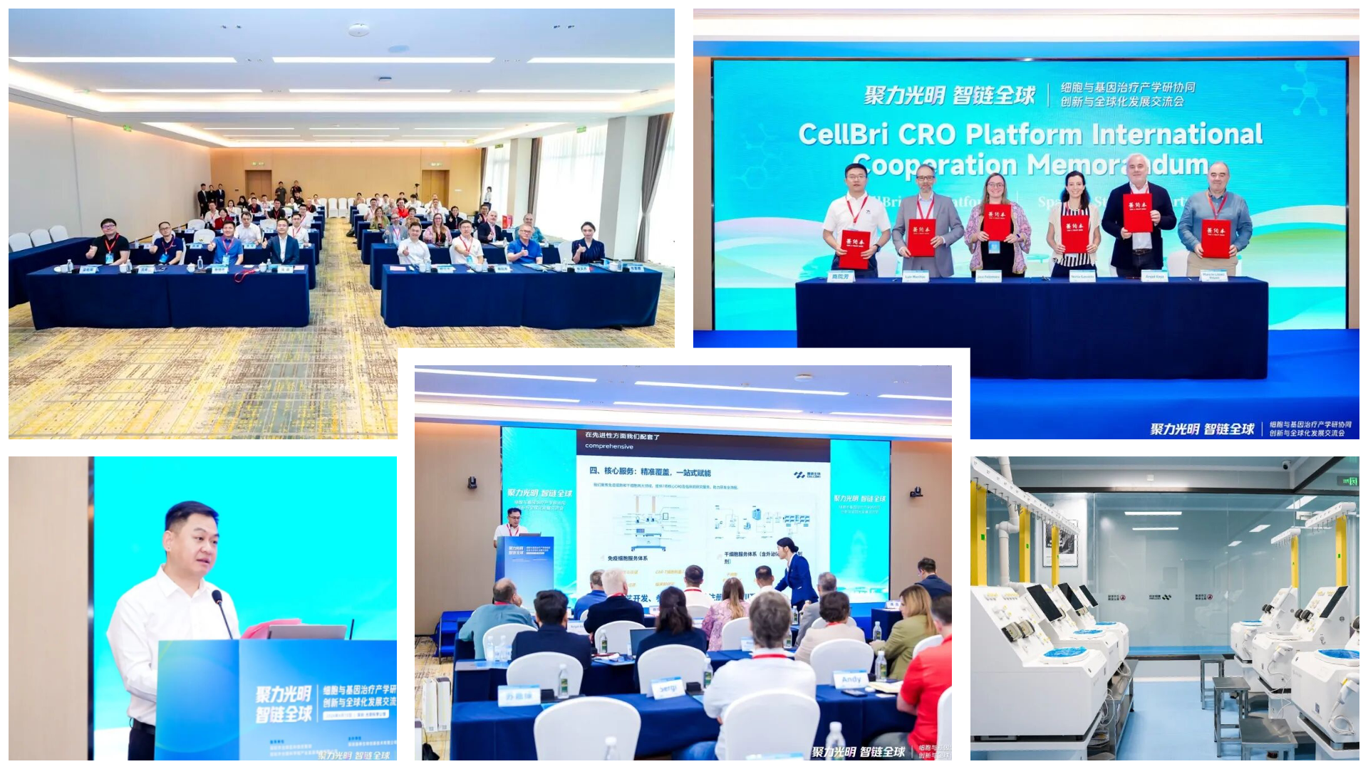 Photo collage from CellBri's 'From Breakthrough to Buildout' CGT industry event. Top left: attendees in a group photo at a conference session. Top right: five representatives at a signing ceremony holding red folders, with a screen reading 'CellBri CRO Platform International Cooperation Memorandum.' Center: a speaker presenting to a seated audience, with a services overview slide on screen. Bottom left: a man in a white shirt speaking at a podium. Bottom right: a cleanroom-style lab with rows of white automated equipment